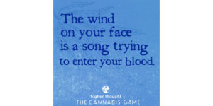 The wind on your face