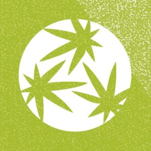 Game Development Process, Higher Thought: The Cannabis Game