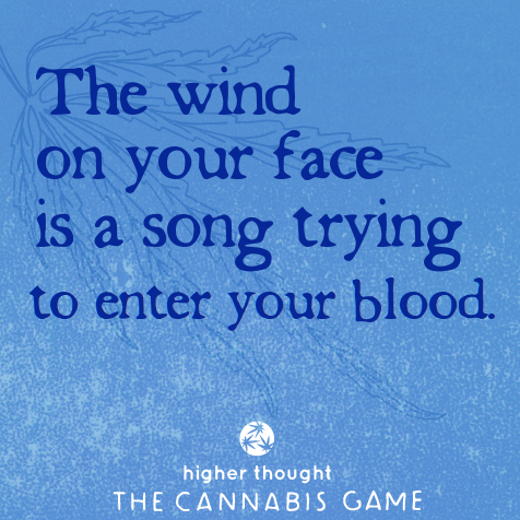 The Wind in Your Face Is a Song Trying to Enter Your Blood