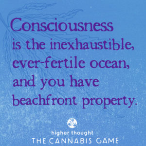 Consciousness is the inexhaustible ocean and you have beachfront property
