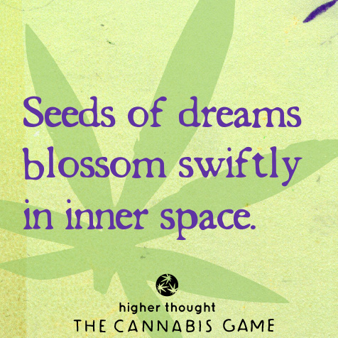 Seeds of dreams blossom swiftly - Higher Thought Cannabis Game