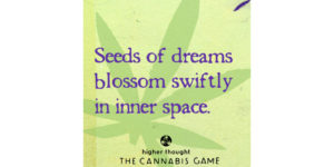 Seeds of dreams blossom swiftly