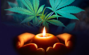 Cannabis and Spirituality - Higher Thought: The Cannabis Game
