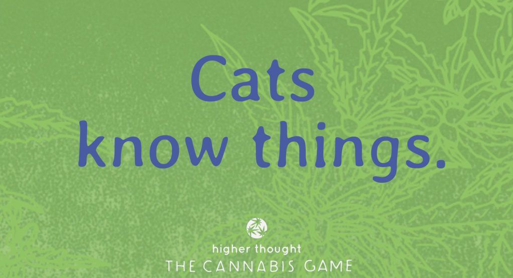 Cats know things. Higher Thought Cannabis Game