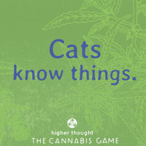 Cats know things - Higher Thought Game