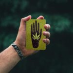 Higher Thought: The Cannabis game atop Mt. Tabor in Portland, OR