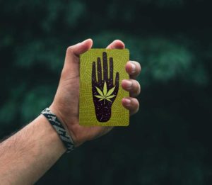 Higher Thought: The Cannabis game atop Mt. Tabor in Portland, OR