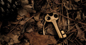 Forgive the last mistake - a lost key lying among leaves on the forest floor