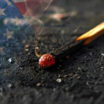burnt match - it's an offing nightmare